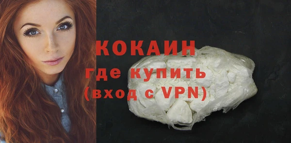 шишки Краснотурьинск