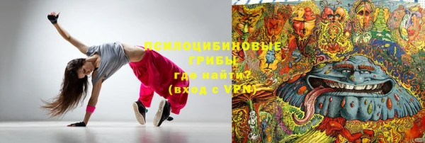 шишки Краснотурьинск