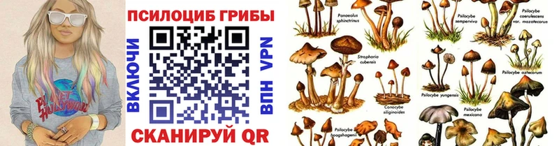 Псилоцибиновые грибы прущие грибы  Купить  Похвистнево 